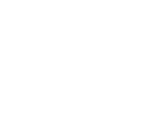 PPM